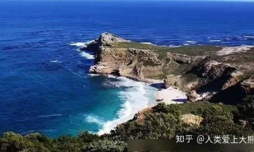 青木香的功效与作用网 :分享青木香的功效与作用-青木香的功效与作用有哪些知识